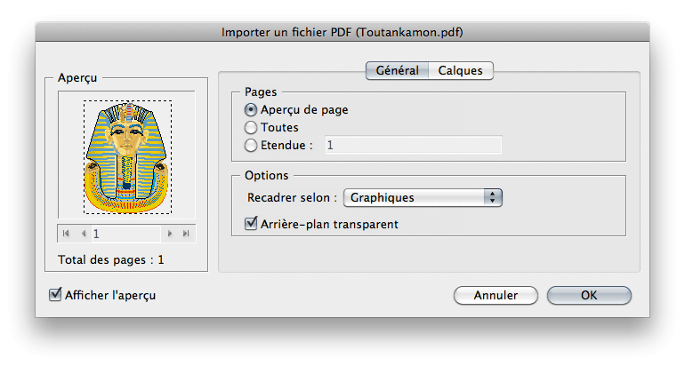 PDFOptions editor
